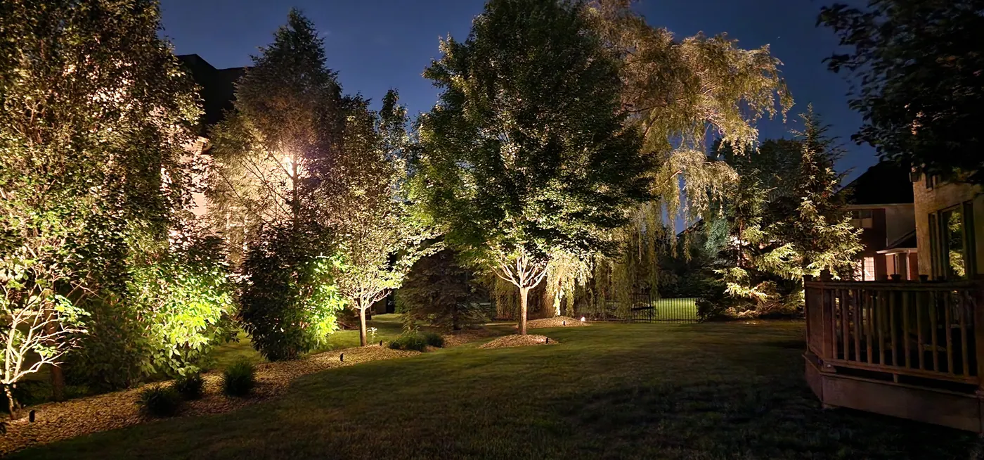 Layered tree uplighting and ambient landscape lighting on an Indianapolis backyard at night