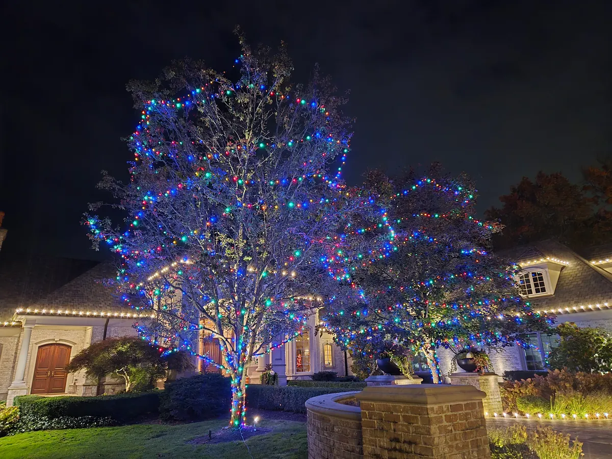 Tree uplighting and multicolor accents in a residential Indianapolis yard